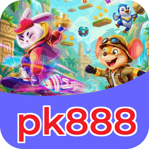 Interface pk888
